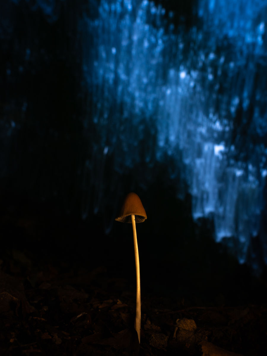 Kovács Dániel Csaba