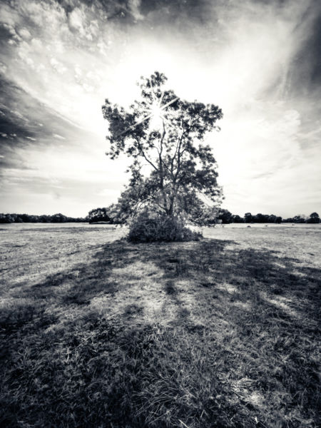 Kunsági rét napernyője