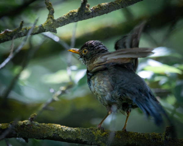 Fürdés-szárítkozás