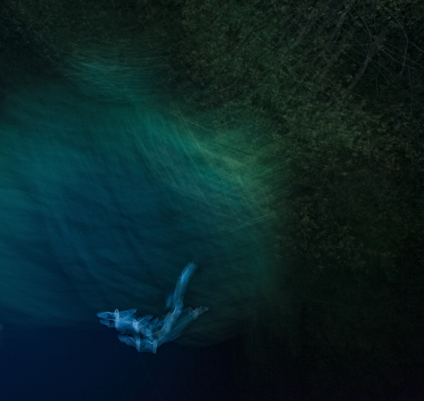 Az éjszaka vadászai