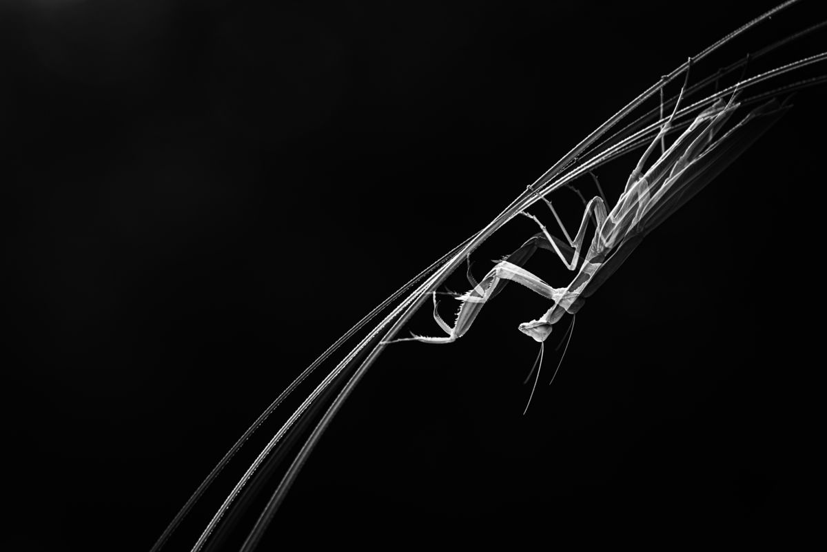 Darányiné Bakos Éva