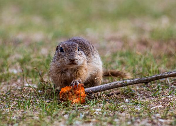 El a kezekkel-az enyém!
