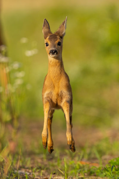 "Hogy a lábad sem éri a földet...."