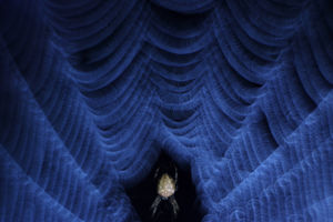 A porondmester A porondmester