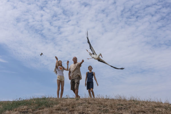 Hortobágyi Madárkórház Gólya elengedés