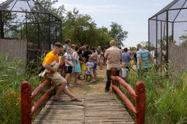 Hortobágyi Madárkórház Gólya
