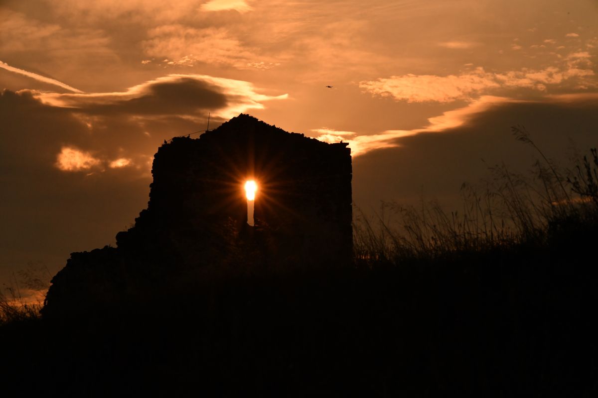 Varró Brigitta Barbara