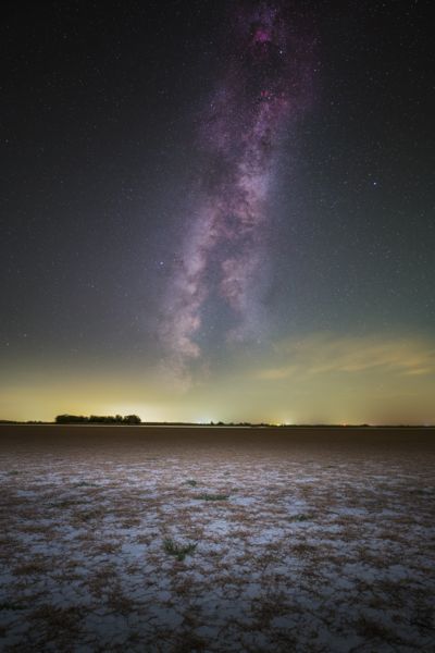 Száraz tónak, nedves partján