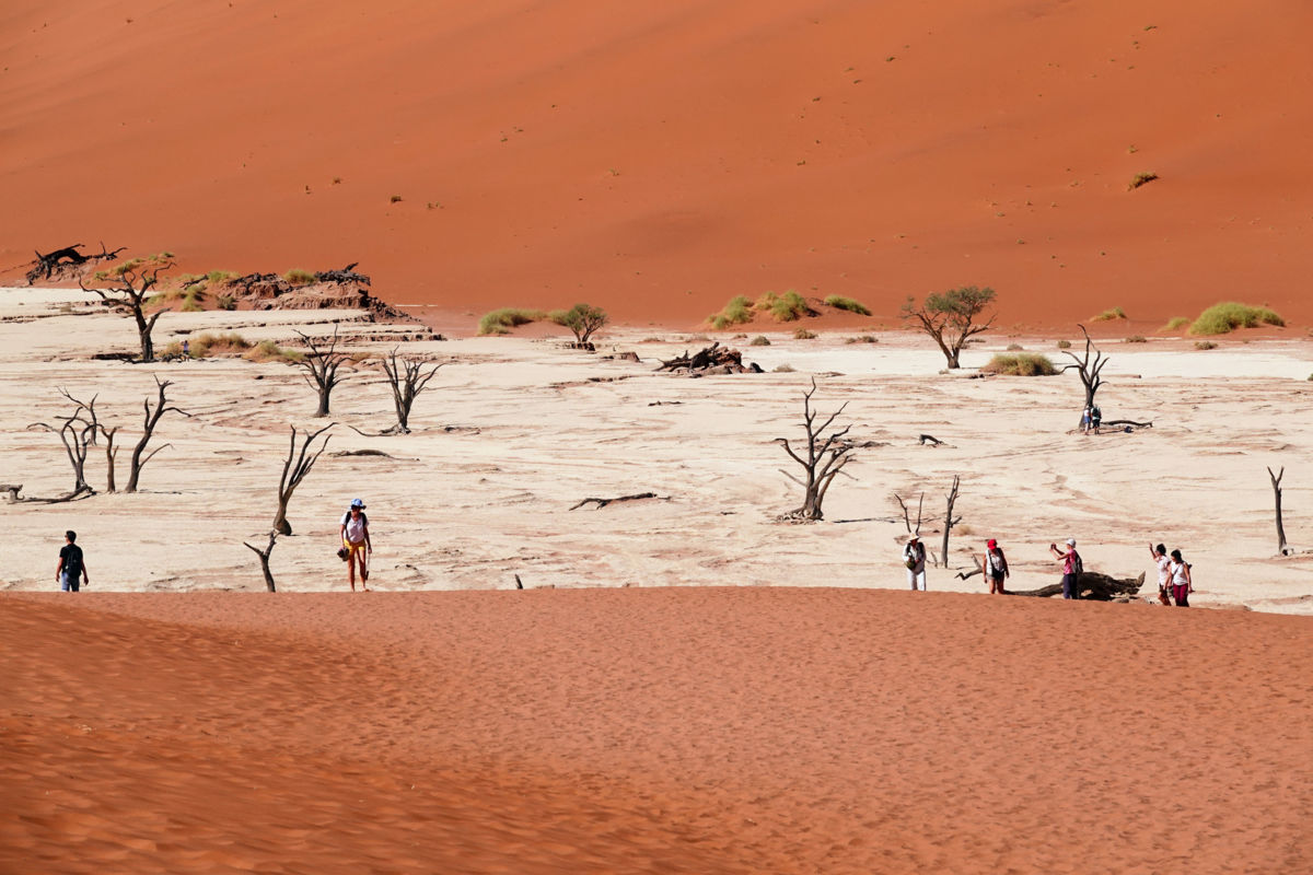 Bernáth Sándor dr.