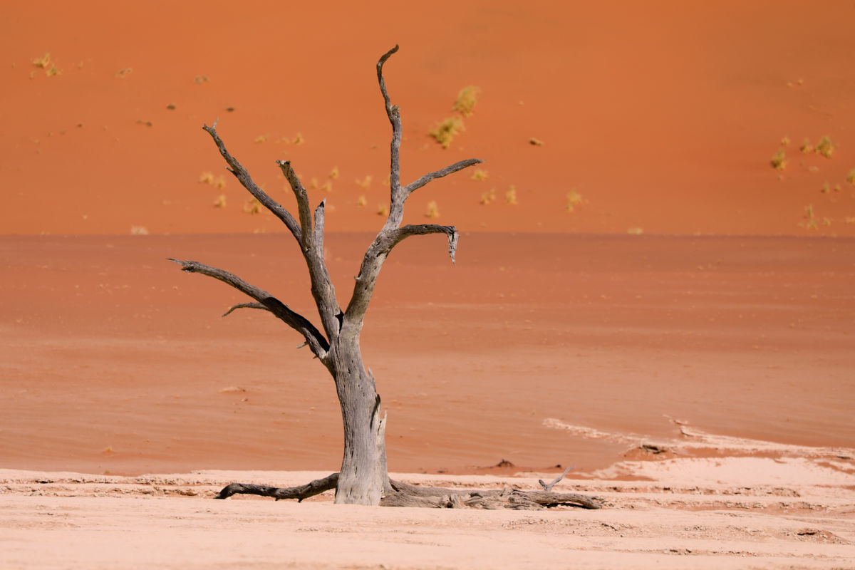 Bernáth Sándor dr.