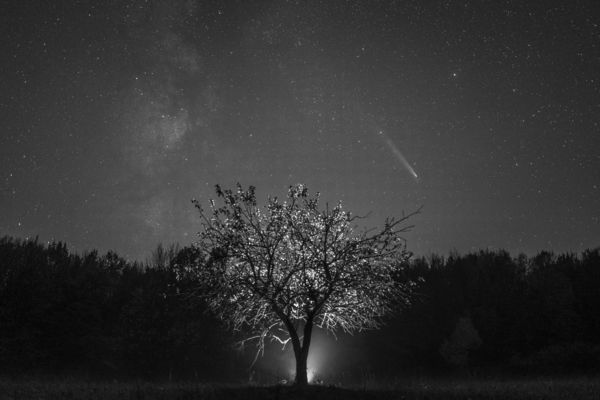 Az éjszakai vándor