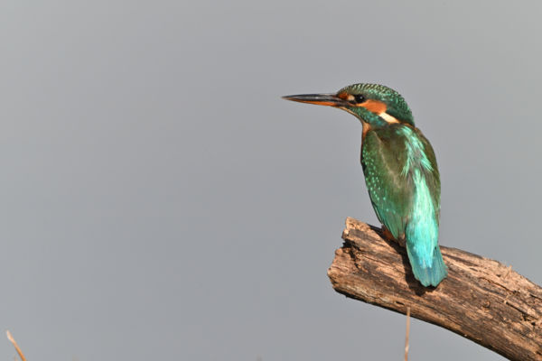 A legszebb színekben