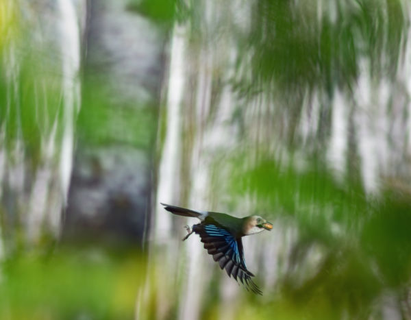 Ez jó lesz még a télen!