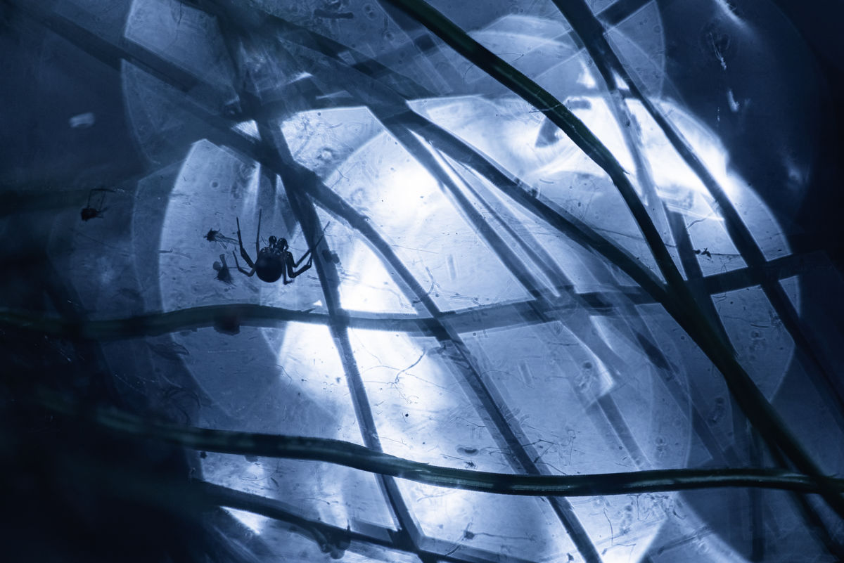 Darányiné Bakos Éva