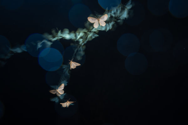 Megdermedt pillanatok