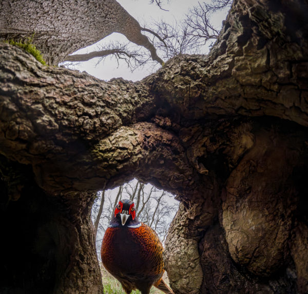 Van itt bent valaki?