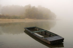 November November