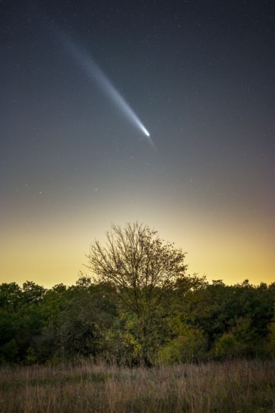 Börzsöny csodálatos látogatója