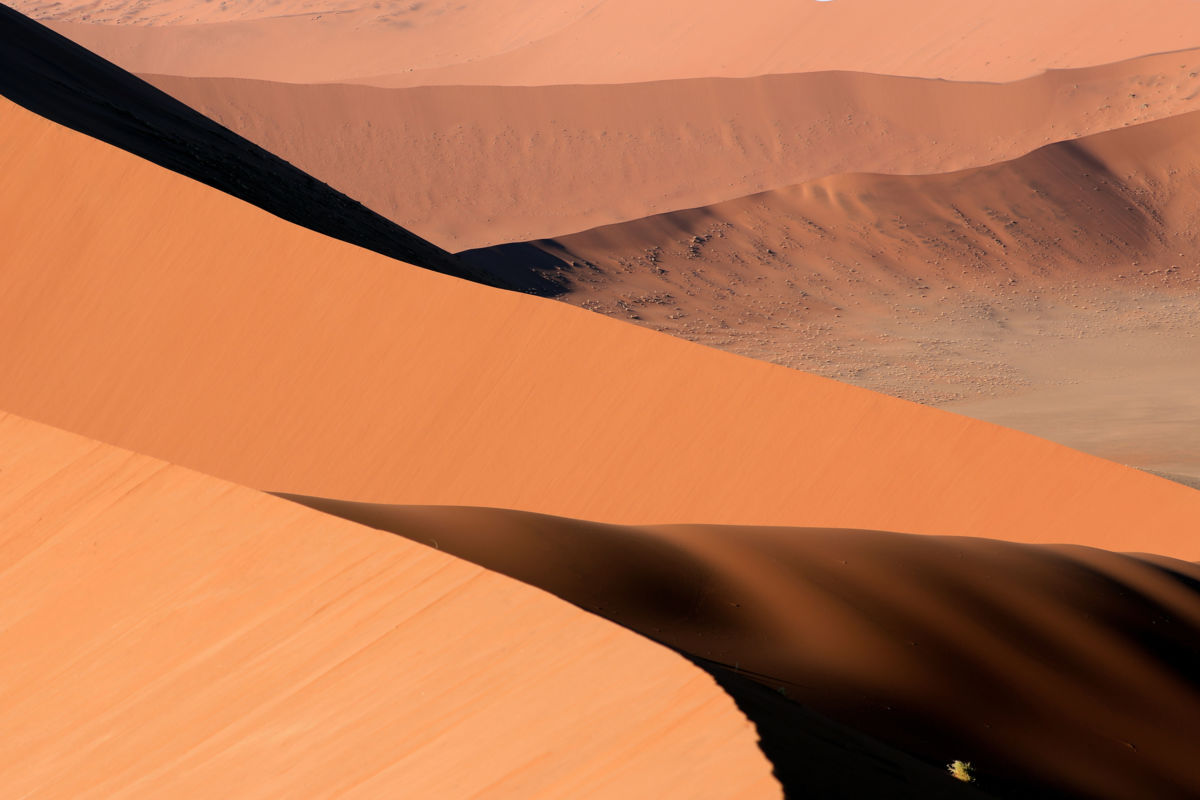 Bernáth Sándor dr. 