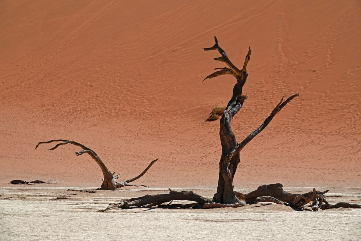 Bernáth Sándor dr. 