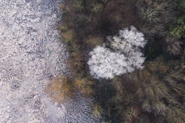 Ezüst tél, Ezüst nyár