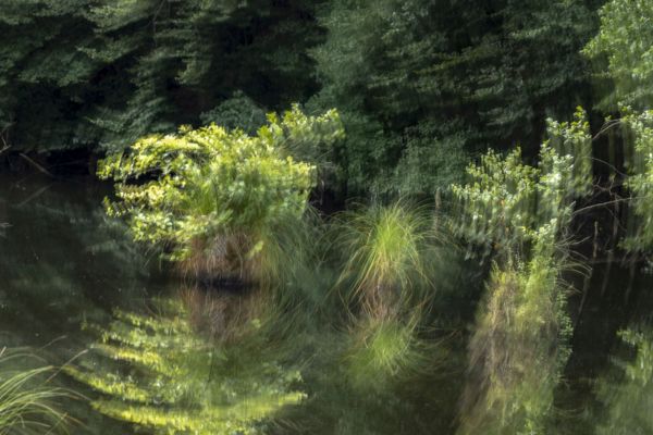 A bakonyi Gyilkos-tónál