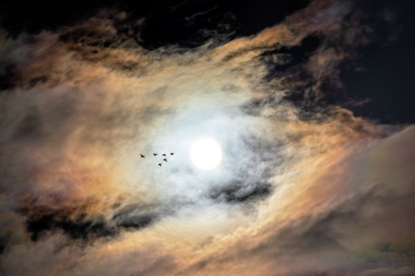 Szárnyalás az univerzumban