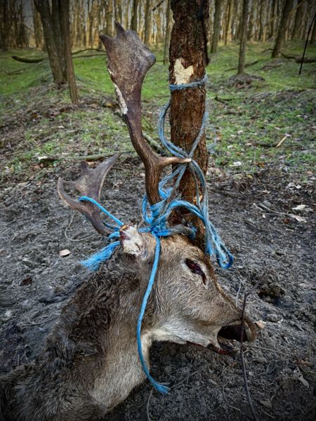 Az ember hatása a természetre