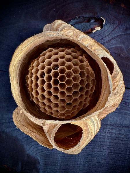 Mesteri építészet