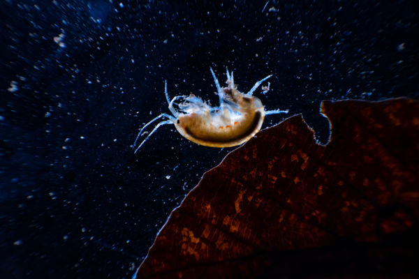 A világűr peremén