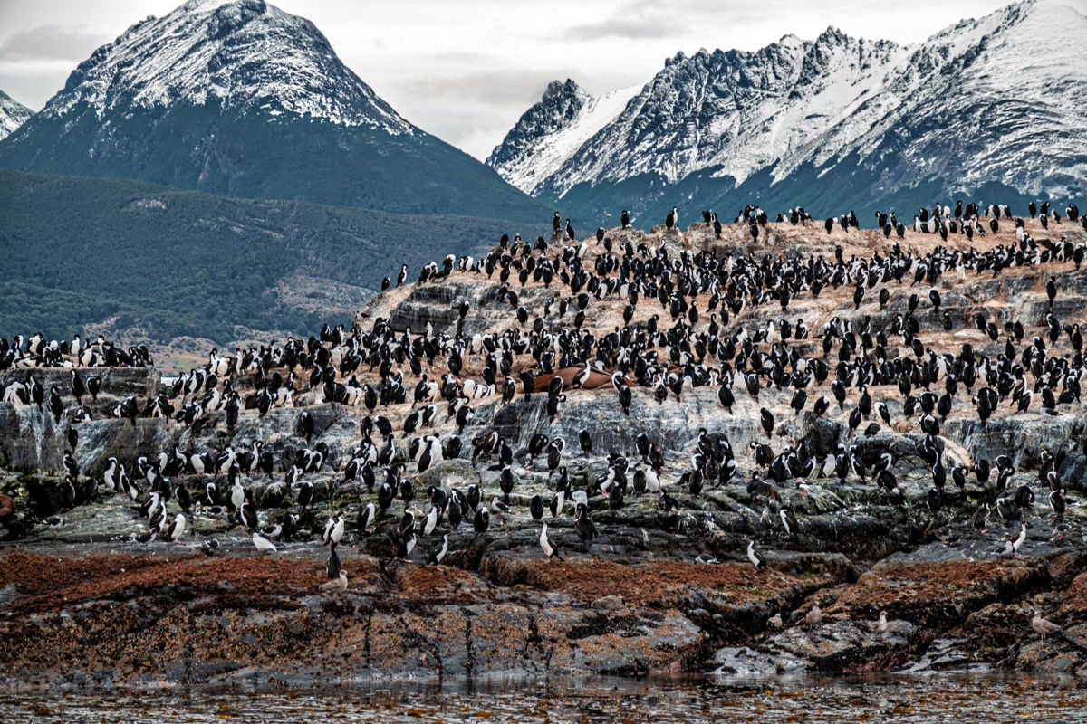 Bernáth Sándor dr.