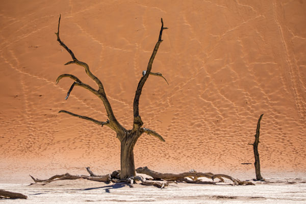 Mintha az ég tükröződne