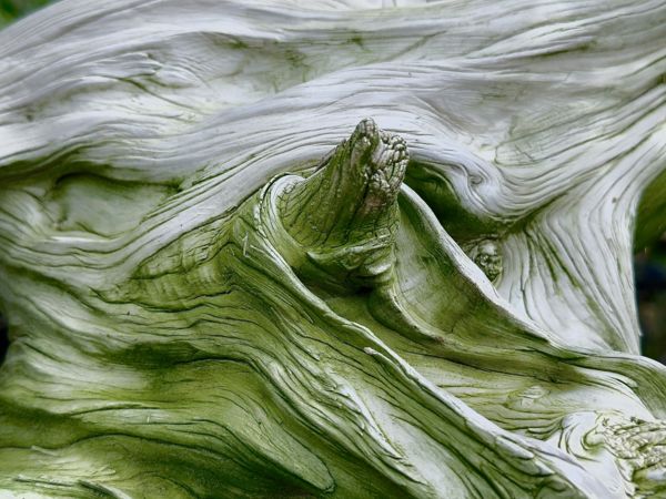 Egy bonszaj életvonala