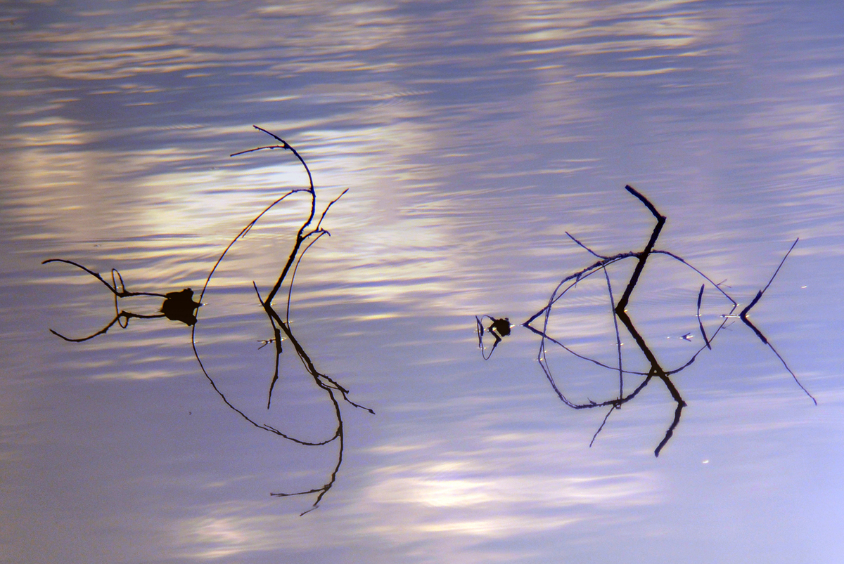 Gaál Zoltán Péter