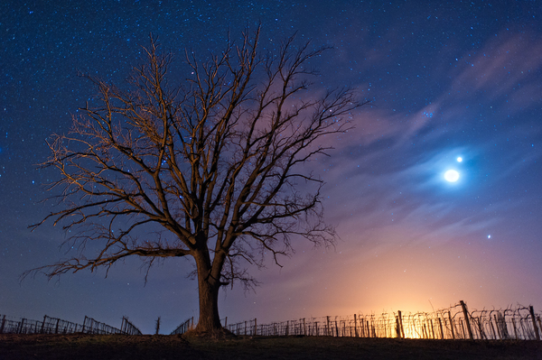 Égi és földi fények