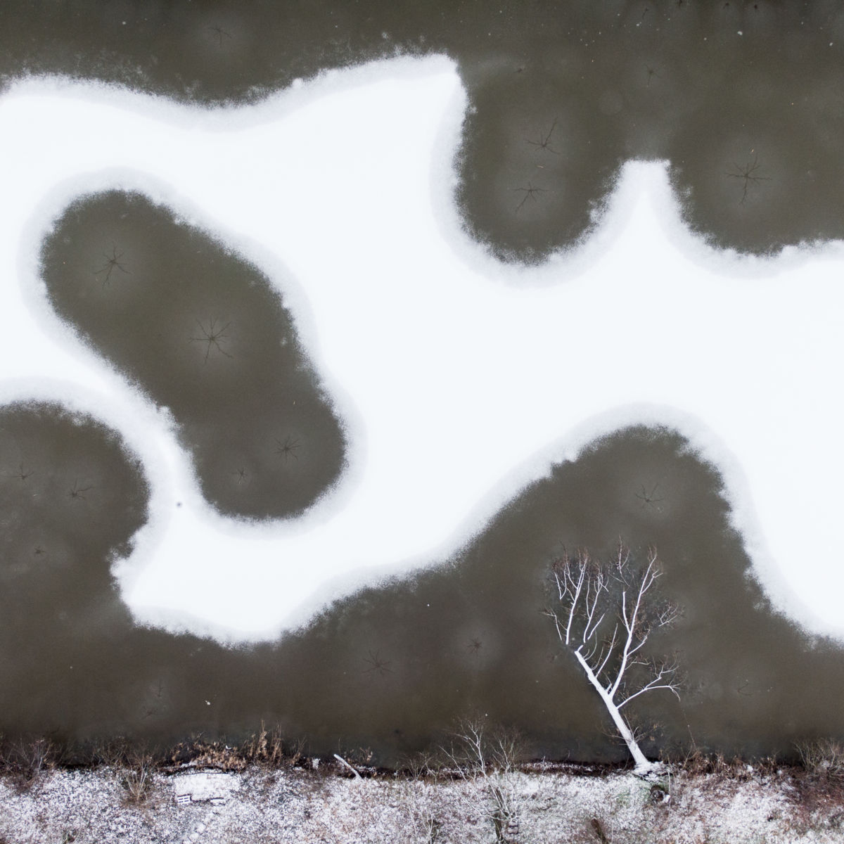 Koncz-Bisztricz Tamás