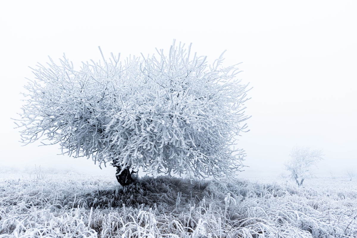 Darányiné Bakos Éva
