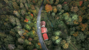 Falusi forgalom Falusi forgalom