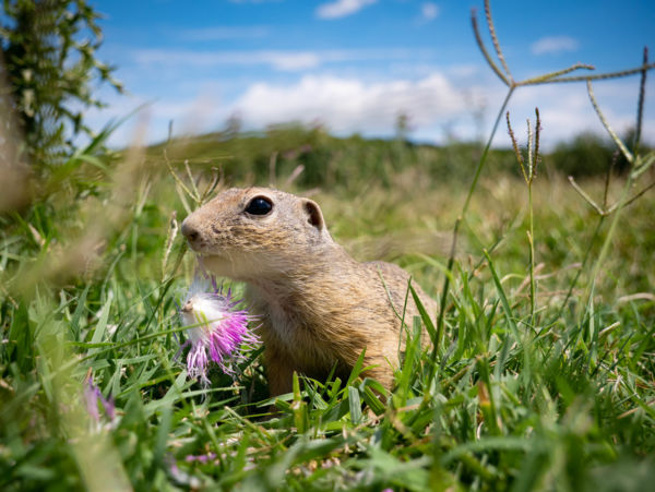 Váratlan találkozás