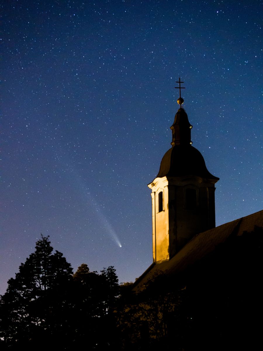 Koncz-Bisztricz Tamás