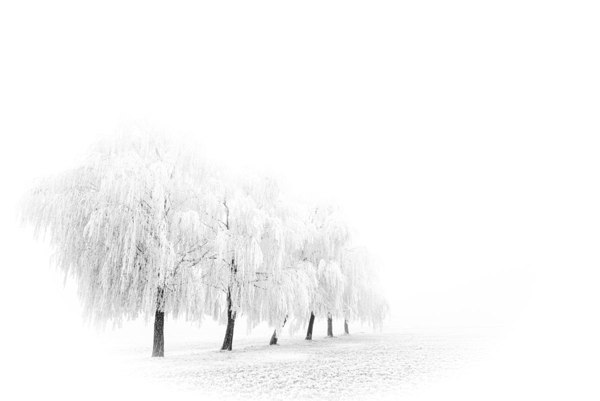 Darányiné Bakos Éva