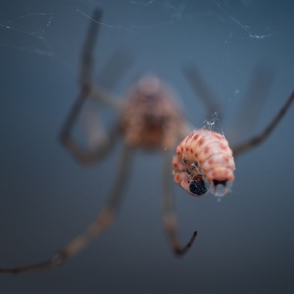 arcod hétfő reggel