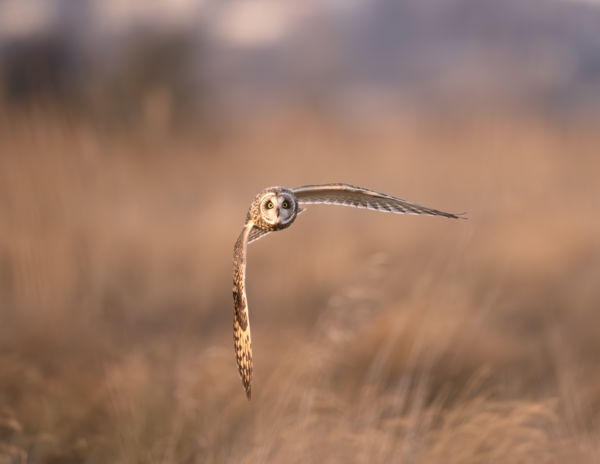 Precíziós Repülés 