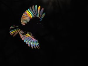 Komplementer színek Komplementer színek