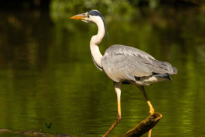 Tökéletes hely keresése Tökéletes hely keresése
