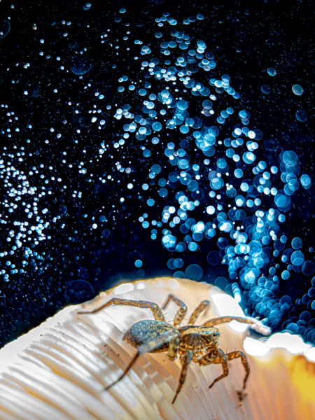 Mint egy földöntúli galaxis