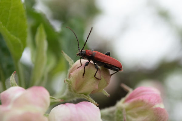 Itt most megpihenek!