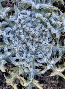 Geometria  Geometria