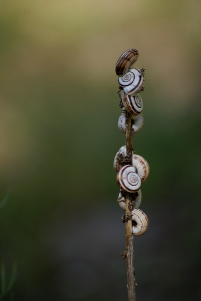 Nincs több kiadó szobánk!