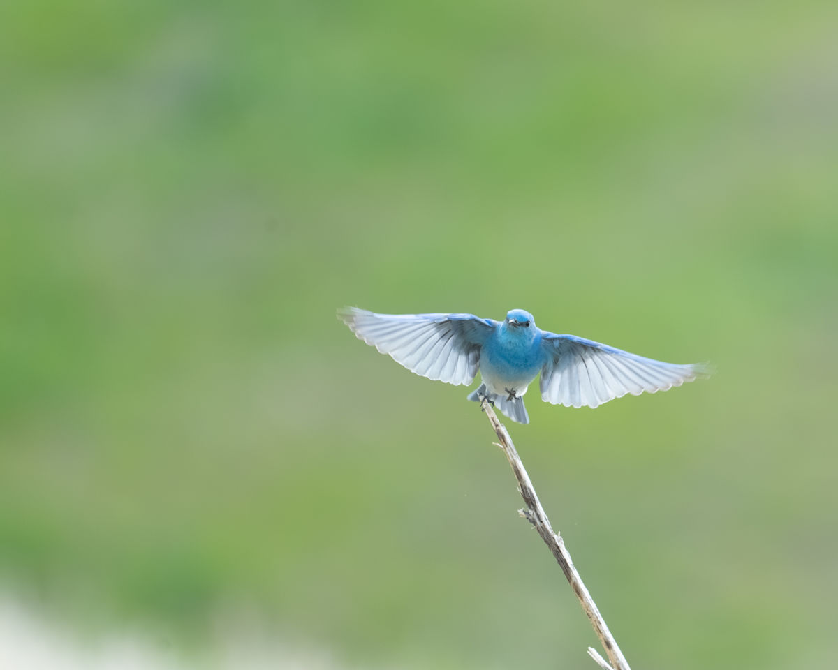 Agócs Fruzsina Júlia